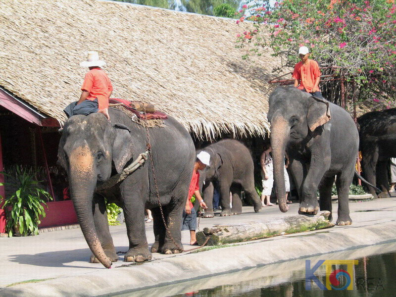 ktt-elephant-ride